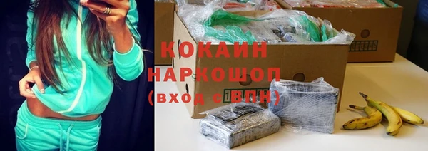сатива Киренск