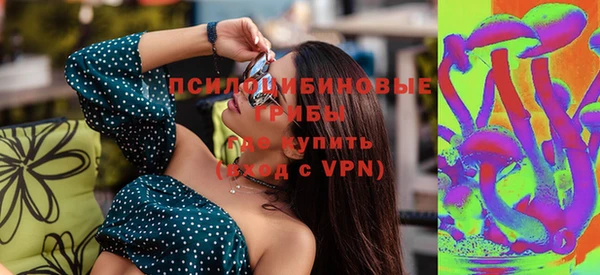 сатива Киренск
