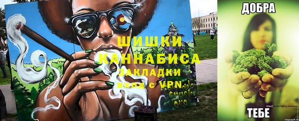 сатива Киренск
