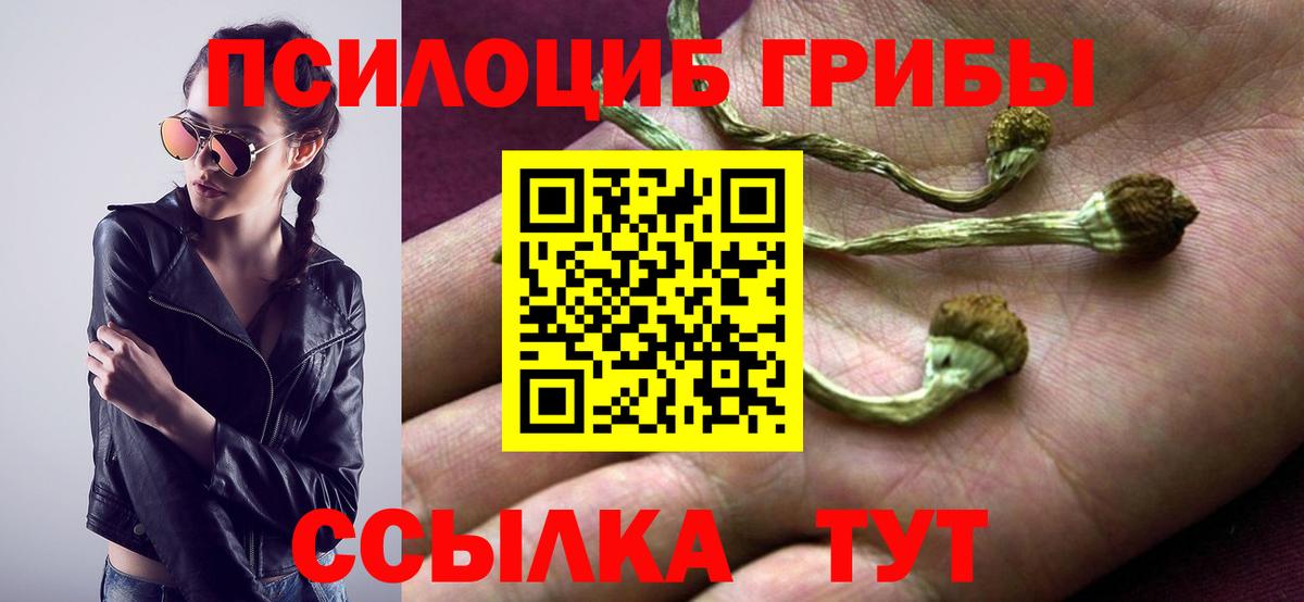 Ревда  даркнет сайт  Вход с VPN  Псилоцибиновые грибы мухоморы 